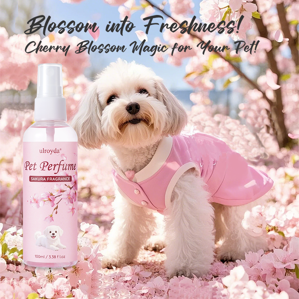 Home Fragrance Long Lasting - Sakura Pet Perfume Spray Long Lasting