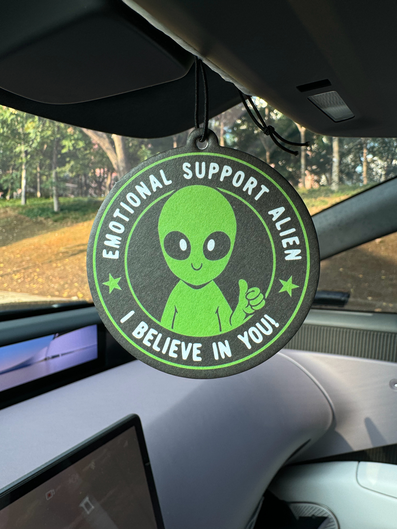 Emotional Support Alien Alien  - Home Fragrance Types reseña y precio