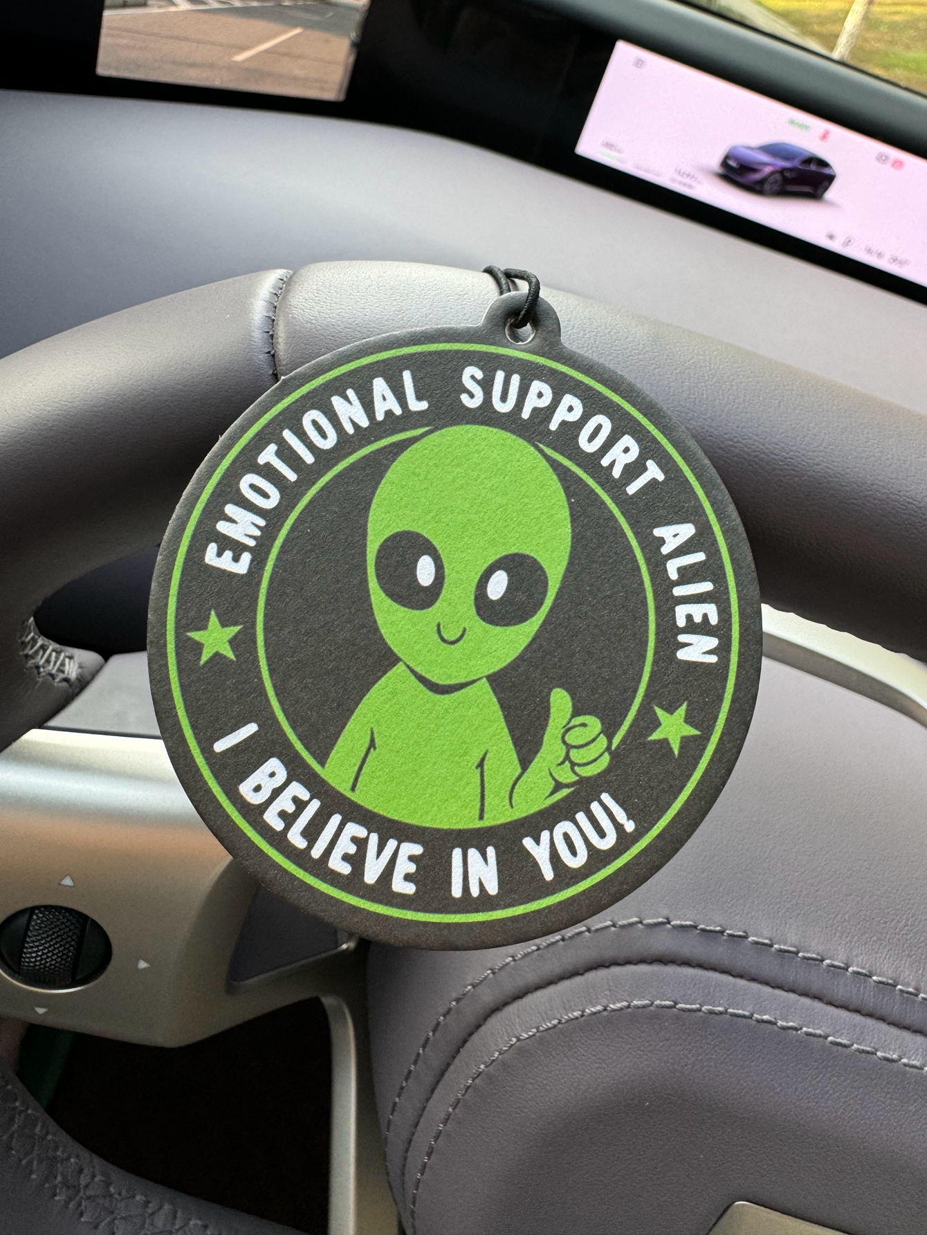 Emotional Support Alien Alien  - Home Fragrance Types reseña y precio