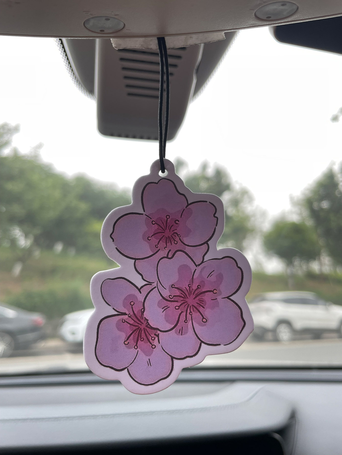 Sakura/Freesia Fresh Scent Fiv - Home Fragrance Types reseña y precio