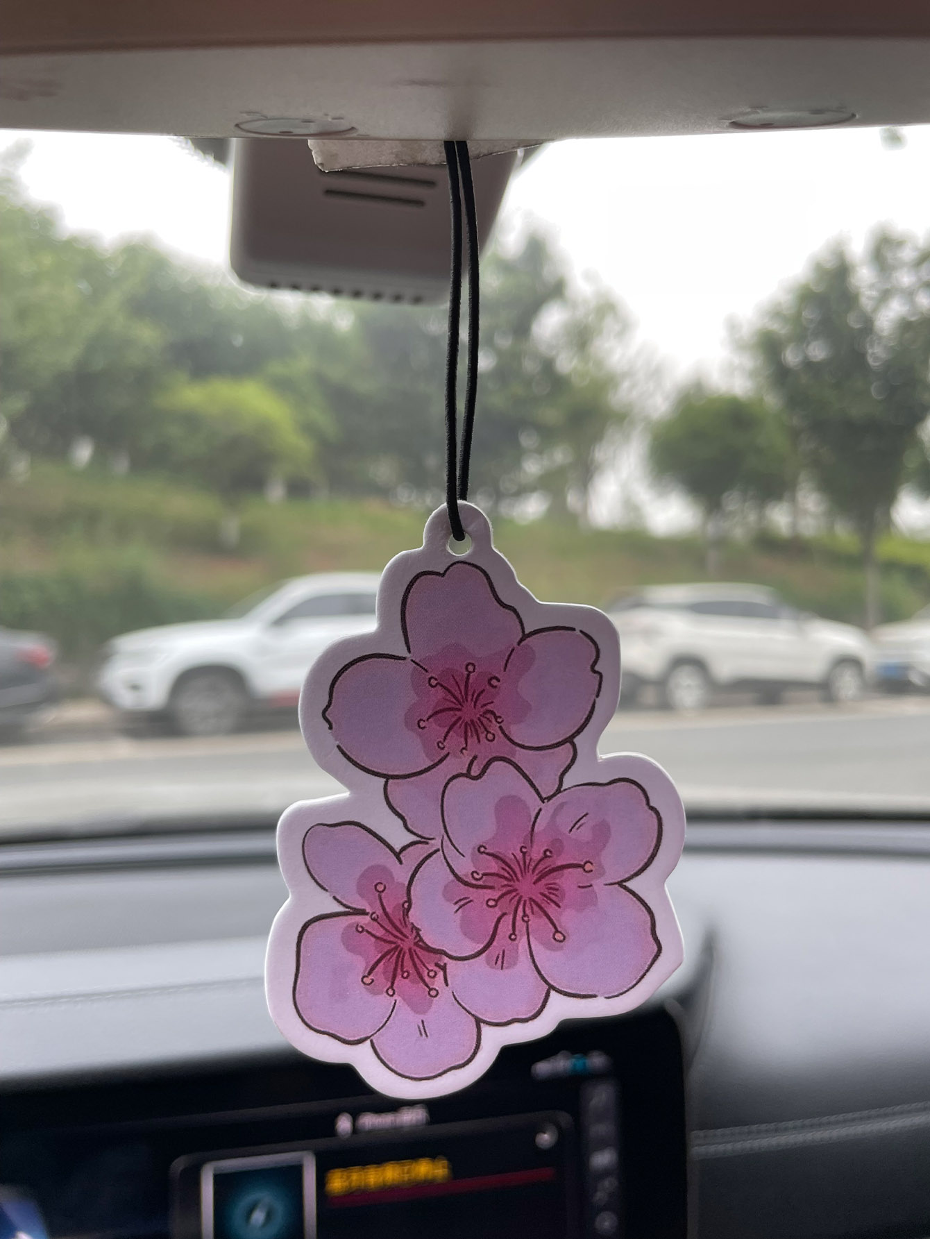 Sakura/Freesia Fresh Scent Fiv - Home Fragrance Types reseña y precio