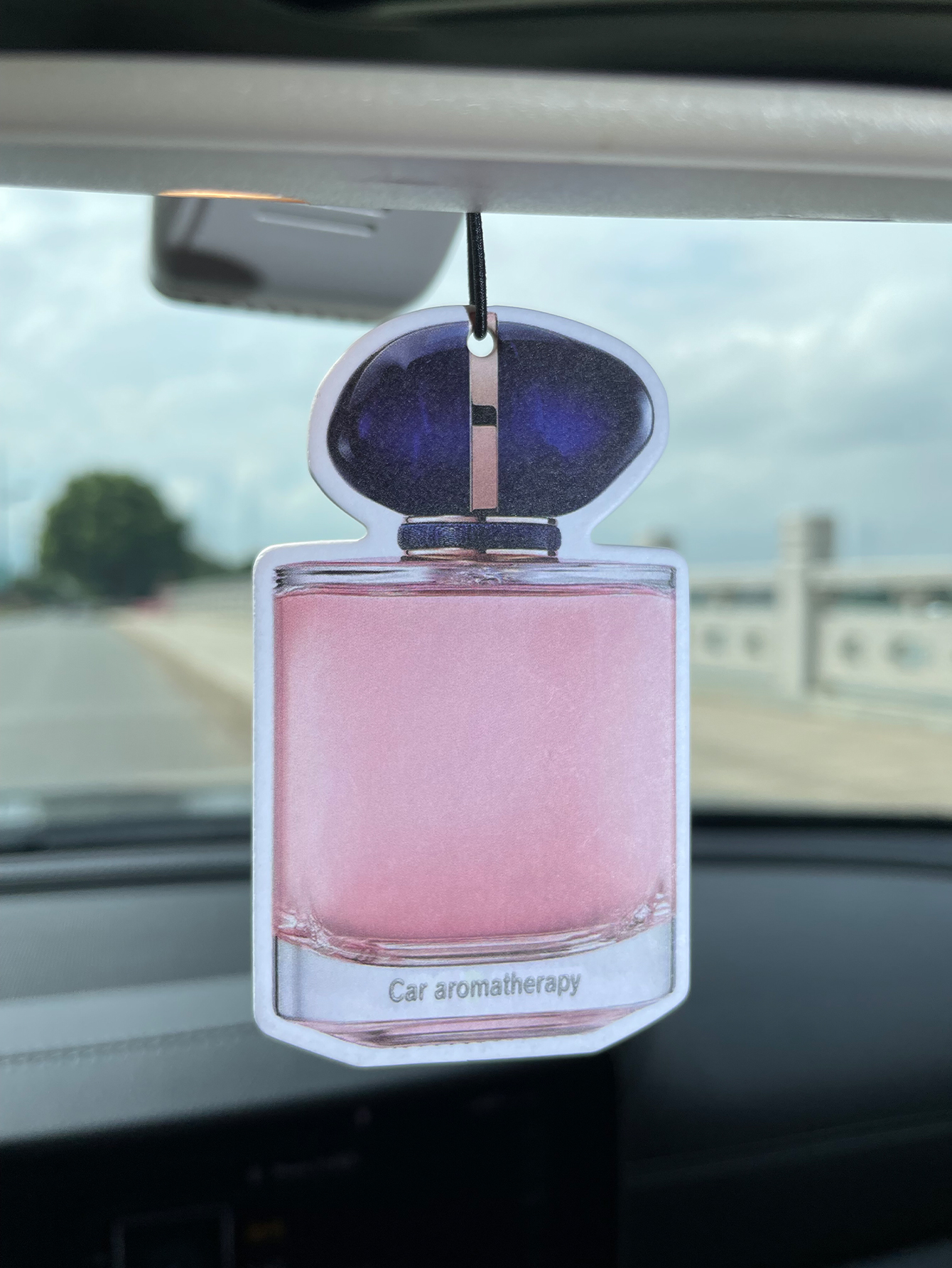 Bottle/Freesia Fresh Scent Fiv - Home Fragrance Types reseña y precio